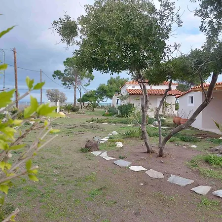 Vintage House Ajia Anna